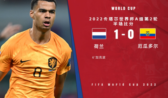 半场-加克波世界波+连场破门 荷兰1-0领先厄瓜多尔