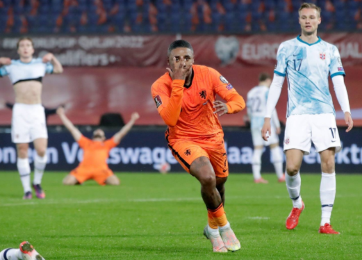 世预赛-荷兰2-0战胜挪威直接晋级 贝尔温传射德佩破门